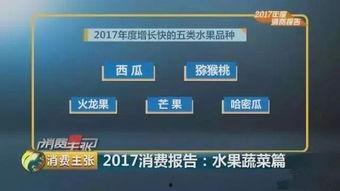 吃瓜群众在七零小说百度网盘,吃瓜群众视角下的奇幻世界